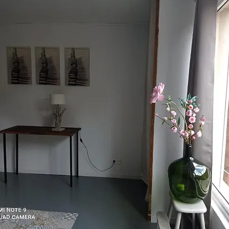 Atypical Loft In Corsica Appartement